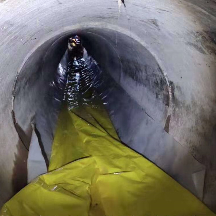 道滘镇管道光固化修复